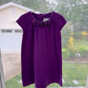 Purple Janie and jack dress